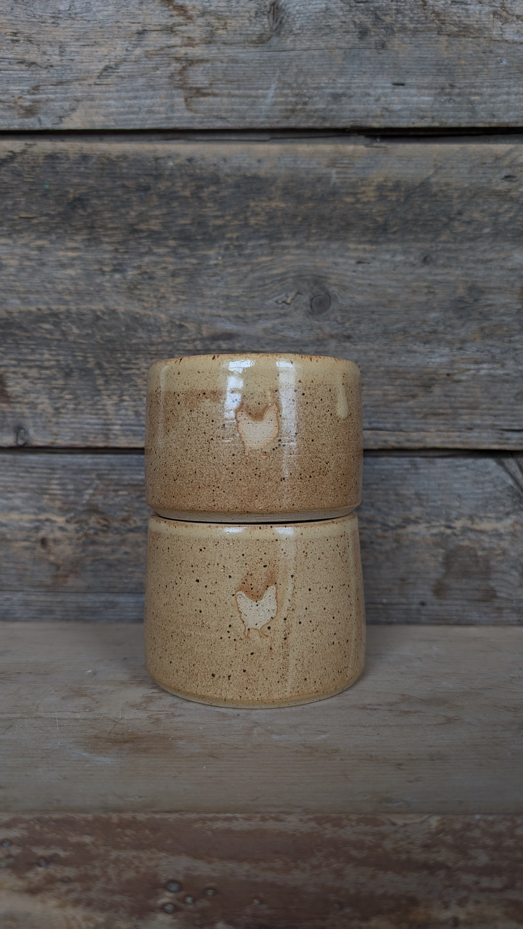 #253 - Yellow Chicken Dish